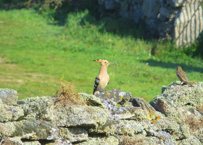 La Casa De 펜션 Salce