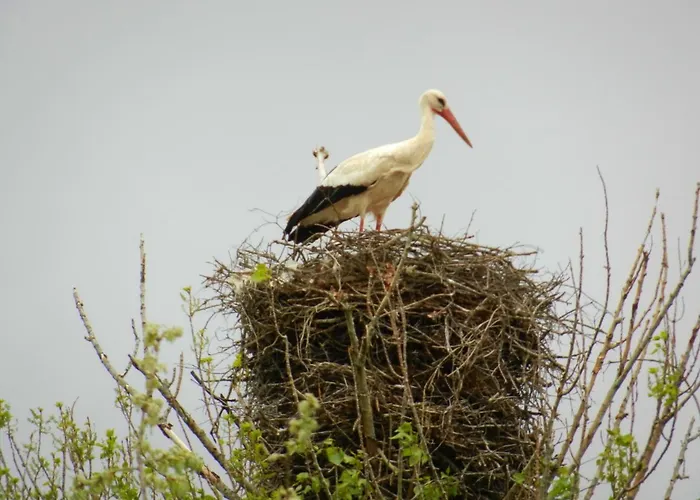 펜션 La Casa De Salce